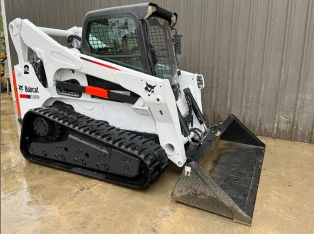 Bobcat