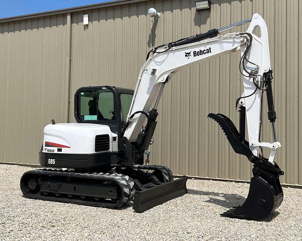 Bobcat